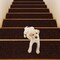 15 Pieces 30 x 8 Inch Slip Resistant Soft Stair Treads Carpet